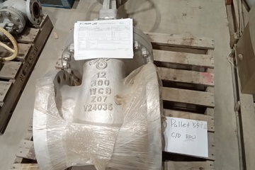 12" 300# Gate Valve