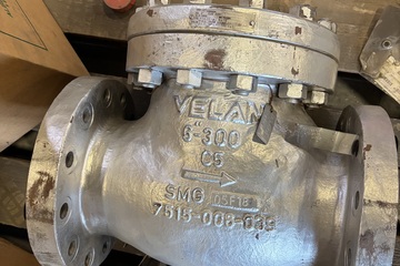 6" 300# Check Valve