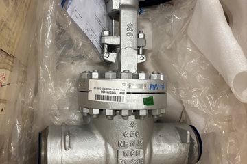 4" 600# Gate Valve