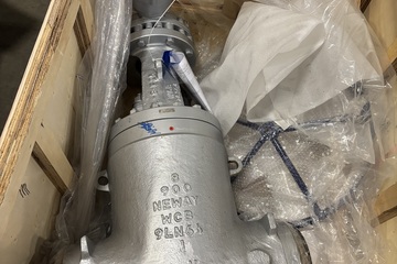 8" 900# Gate Valve