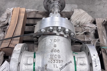 8" 600# Gate Valve
