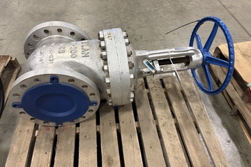 10" 300# Gate Valve