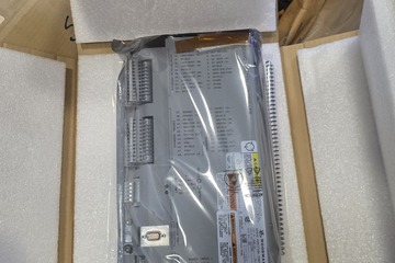 Woodward Control Servo