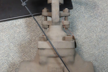 2" 800# Globe Valve