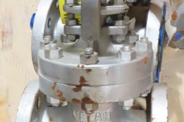 2" 300# Gate Valve